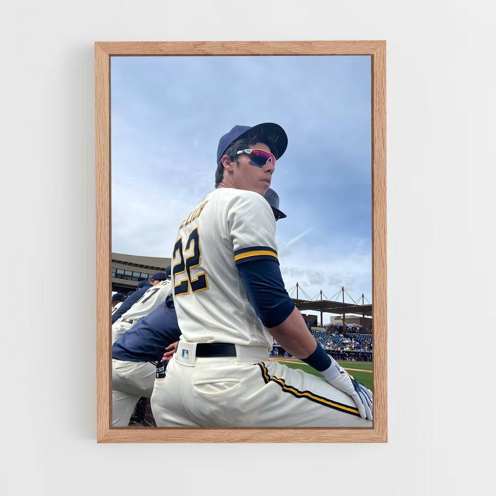 Poster The Benchwarmer – affiche Baseball (vue 4)